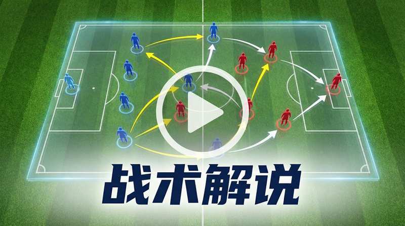 91官网战术解说视频